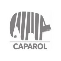 Фото 4 - Штукатурка Caparol Amphisilan барашек, силиконовая фракция 2 мм..
