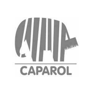 Фото 1 - Штукатурка Caparol Amphisilan барашек, силиконовая фракция 2 мм..